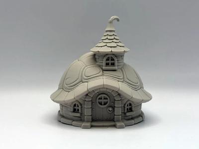 Turtle Fairy House   
