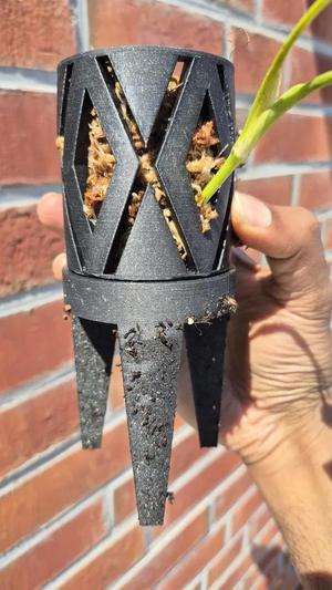 Moss Planter for Vertical Growing Roots   
