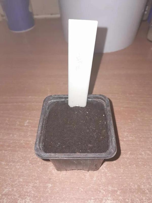 Etiquette de jardin pour vos plants (Plant Label)   