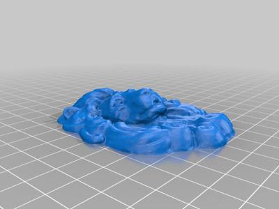 Flat Lion's Face 