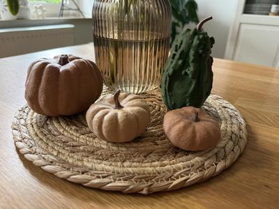 Pumpkin collection – Real 3D Scans