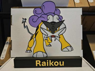 Pokemon Raikou Display