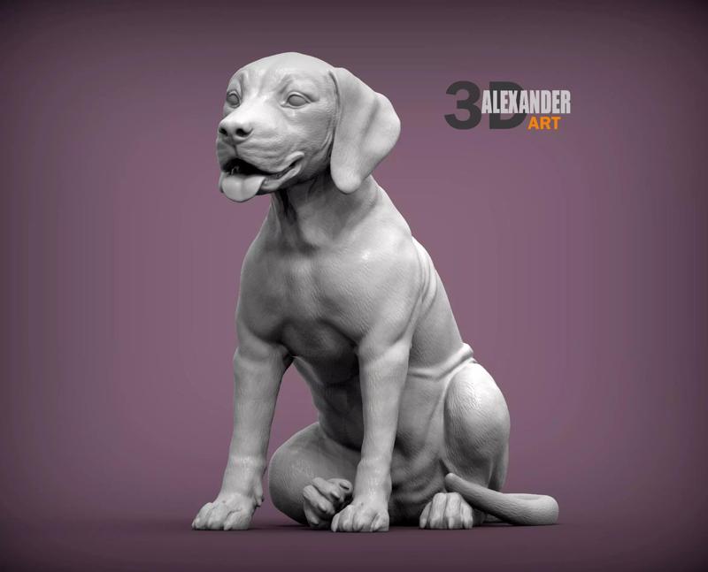 Fila Brasileiro puppy