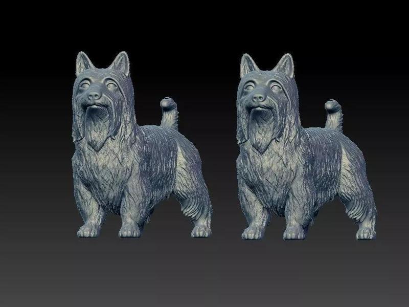 Silky Terrier Terrier Dog model - 3D print