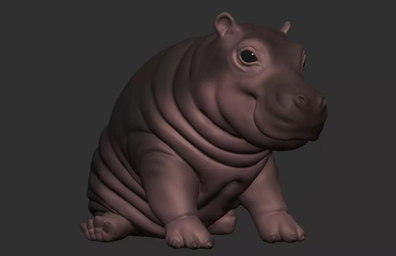 Cute Baby Hippopotamus full body