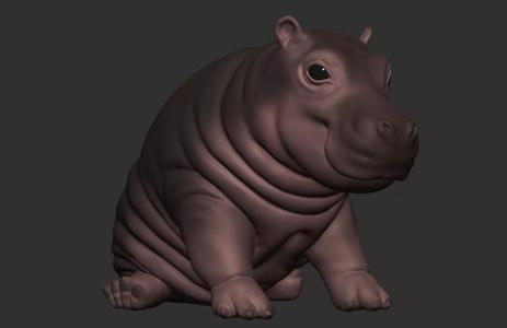 Cute Baby Hippopotamus full body