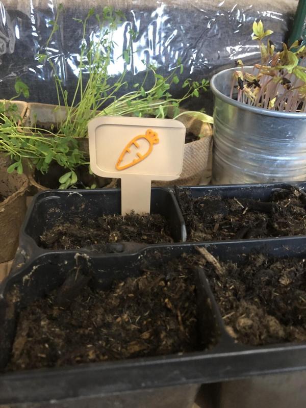 Tags from Vegetable gardening