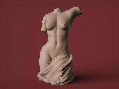 Female Torso 4