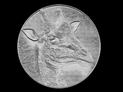 Giraffe Portrait Relief Medallion Sculpture