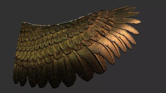 Wing 01