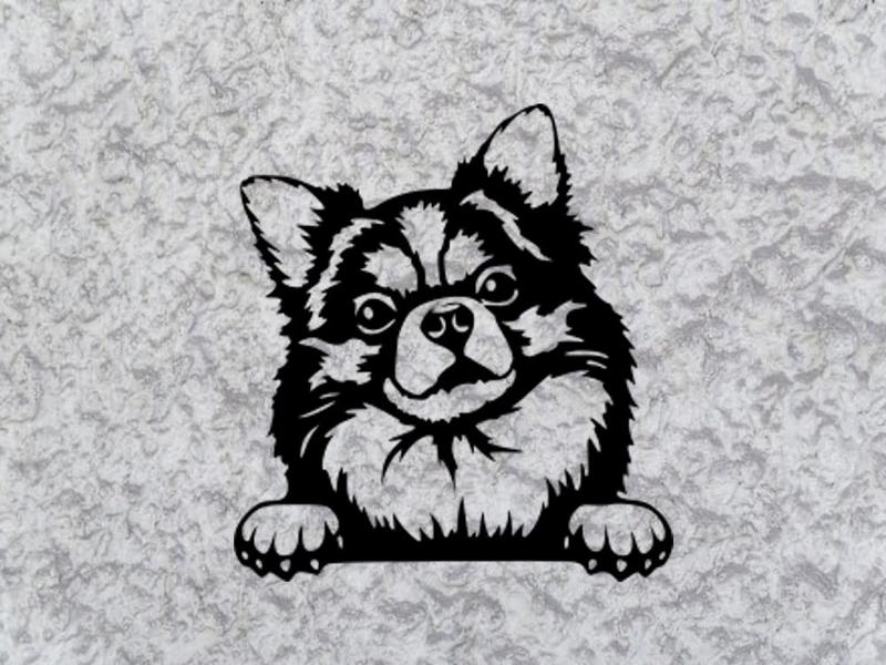 chihuahua deco dog on wall deco