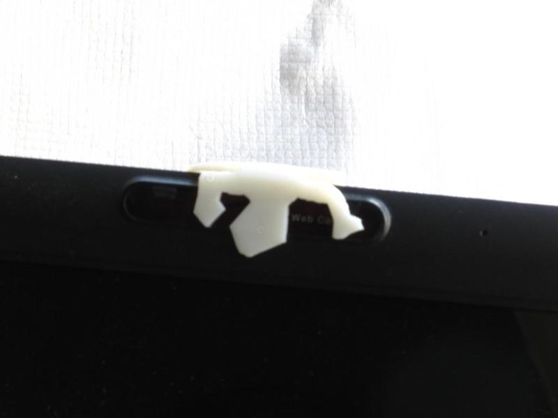 Escher lizard Laptop & imac privacy protector for camera