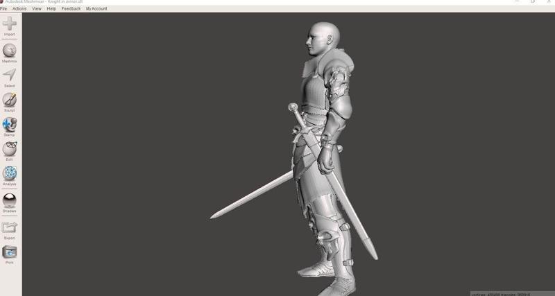 Knight in armor