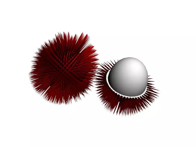 rambutan