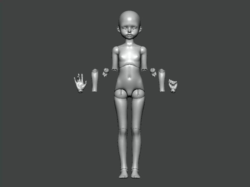 3D Model-ANATOMY0031 female figure with arms and hands