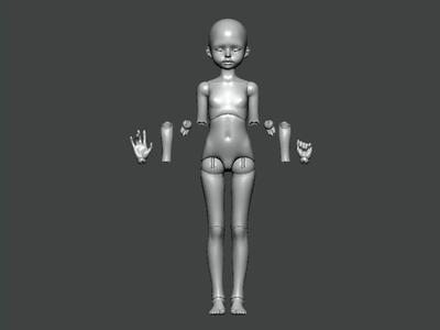 3D Model-ANATOMY0031 female figure with arms and hands