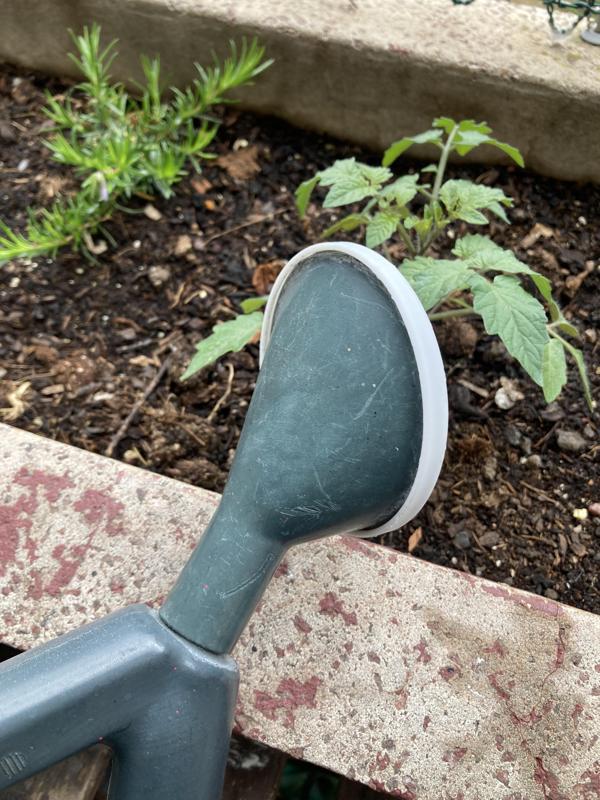 Watering can rose