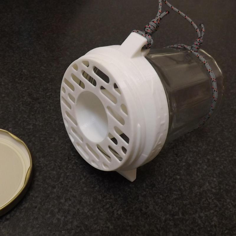 Small trap for Asian hornet