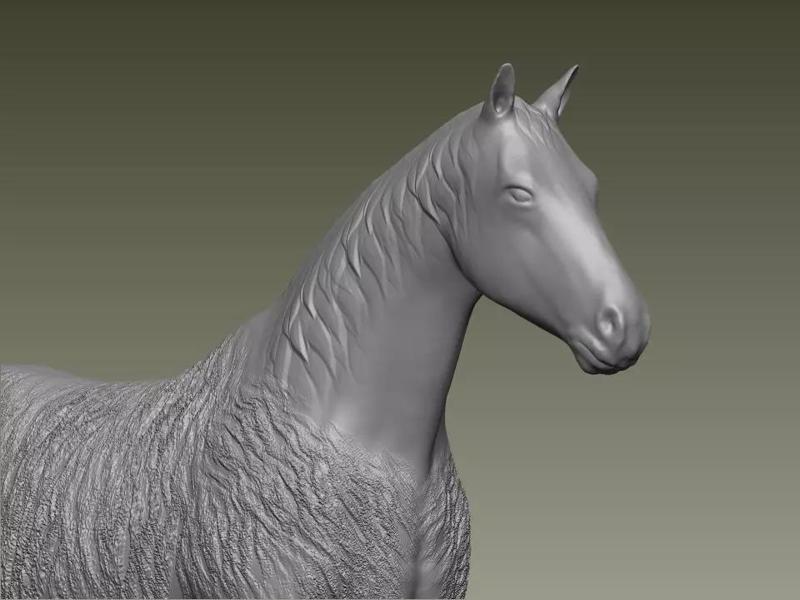 Horse