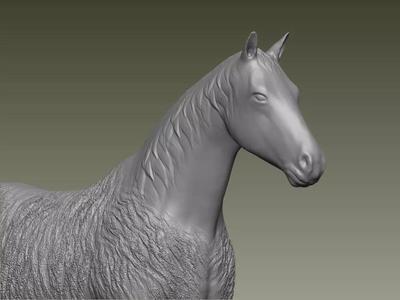 Horse