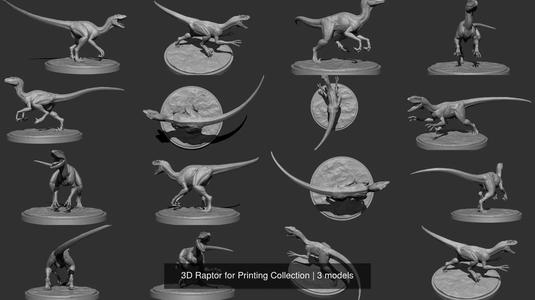 3D Raptor for Printing Collection