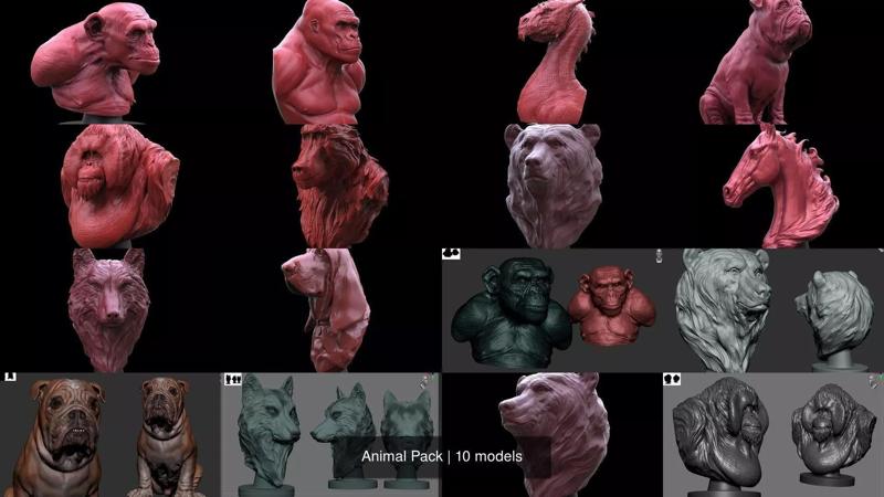 Animal Pack 3D Model Collection