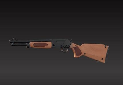 shotgun