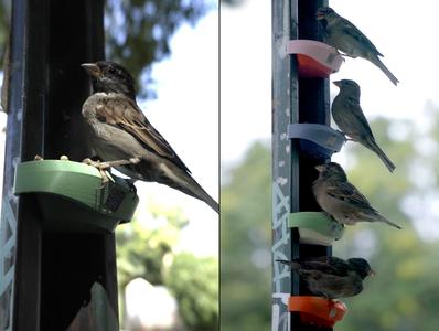 US street post Bird Feeder