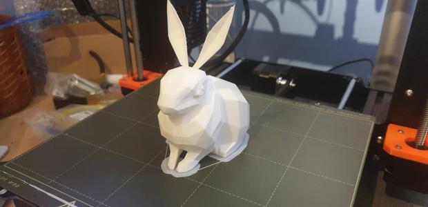 Arctic Rabbit (Low Poly)