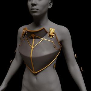 Armor Enforcer stl  vi caitlyn cosplay