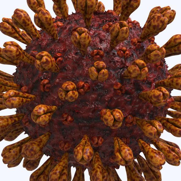 Coronavirus Disease 19 - Covid 19