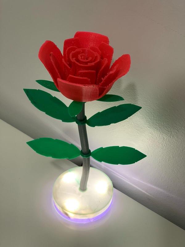 rose