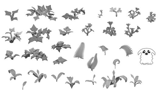 Collection of plants and ferns with supports (2)