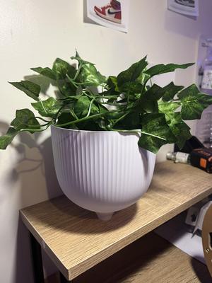 Design flower pot