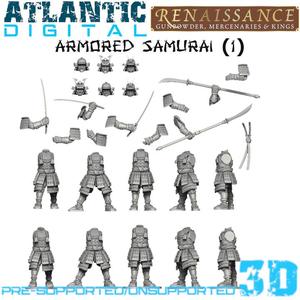 Armored Samurai (1)