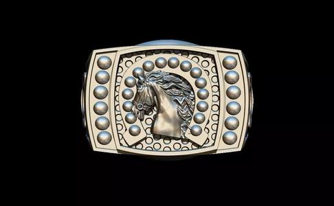 Horse ring