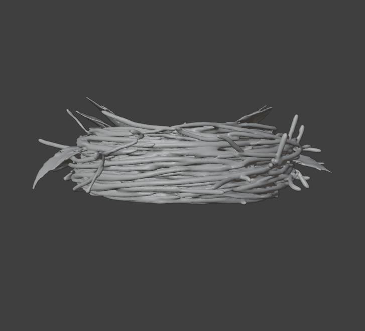 Woodland Bird Nest with Eggs