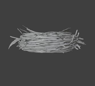 Woodland Bird Nest with Eggs