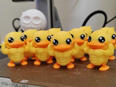 Muscular duck, strong duck, cute and funny~