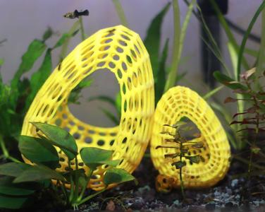 HiveEGGv1 - Fish Cave (Aquarium Shelter Decor)