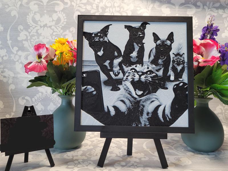 Selfie Cat commercial use