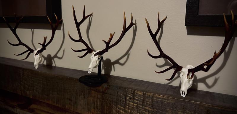 big non typical elk