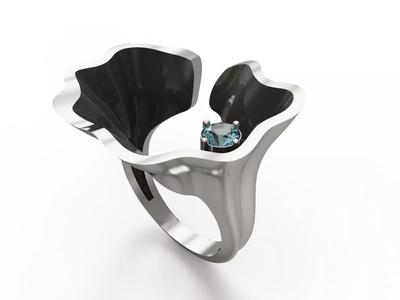 Cloth ring