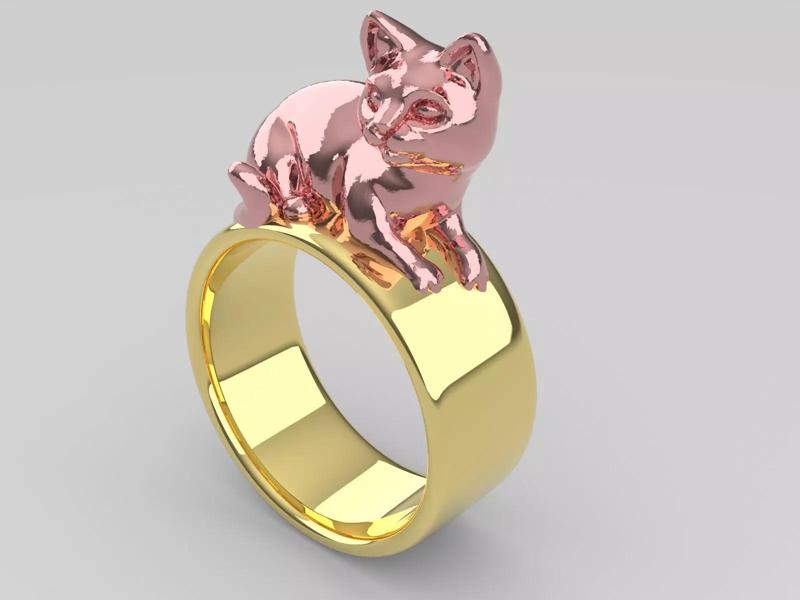 anillo gato
