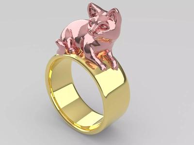 anillo gato
