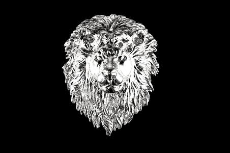Lion head bar relief