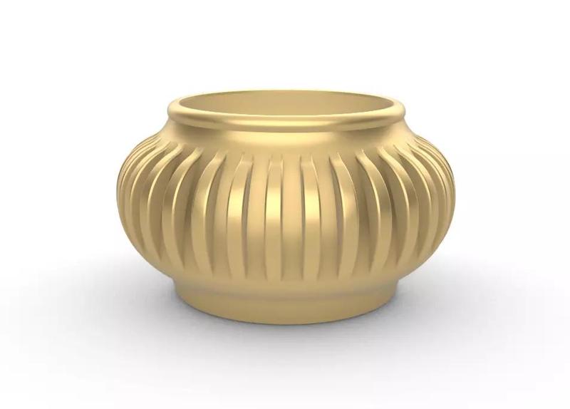 potted succulent and plants