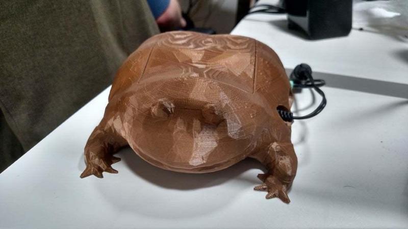 Wednesday Frog Raspberry Pi Case