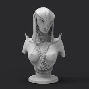 Ethni alien bust Mucubal