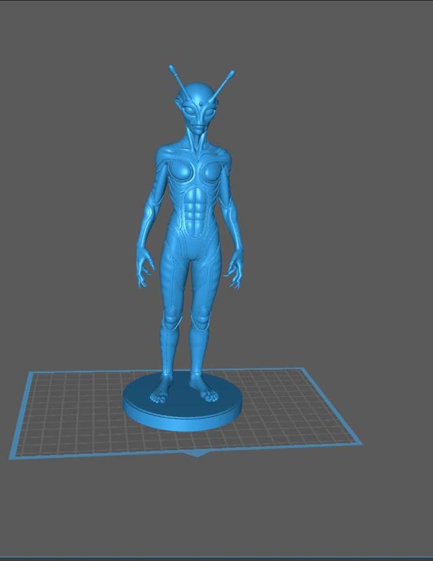 Guerrier/Guerrière Alien